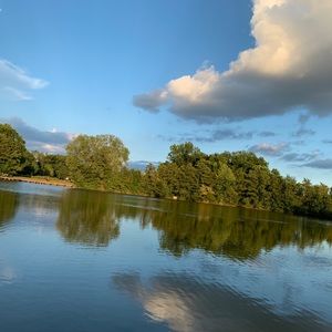 Meet your Posher, Chona